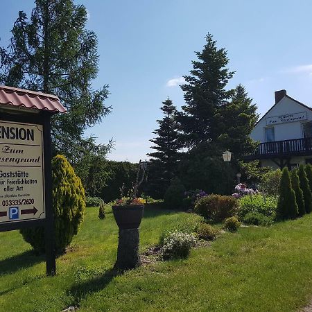 Pension Zum Wiesengrund Frauenhagen 外观 照片