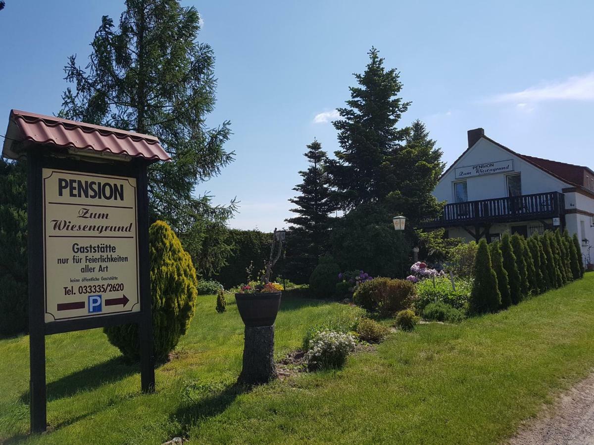 Pension Zum Wiesengrund Frauenhagen 外观 照片